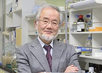 卡罗林斯卡医学院颁布揭晓,日本分子细胞生物学家大隅良典(yoshinori